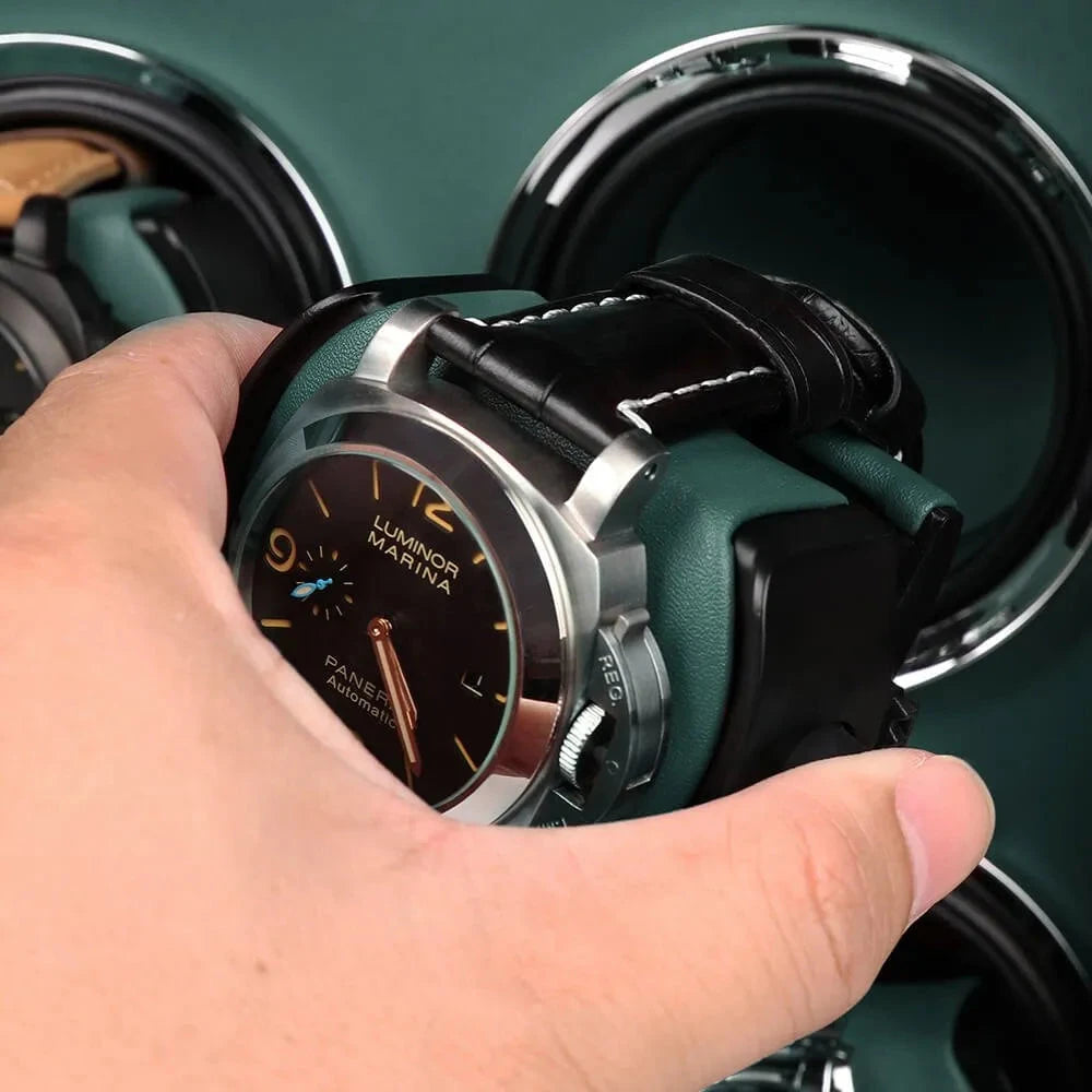 A hand places a black leather-strap wristwatch into the Aevitas Automatic 6 Watch Winder in dark green smooth leather finish, with other watches seen inside.